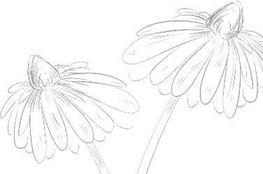 Übergossene Alm - Illustration Blumen